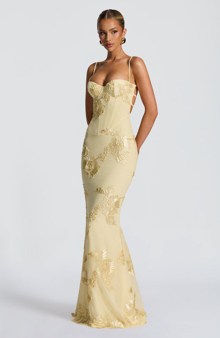 Floral Jacquard Corset Bodice Maxi Dress