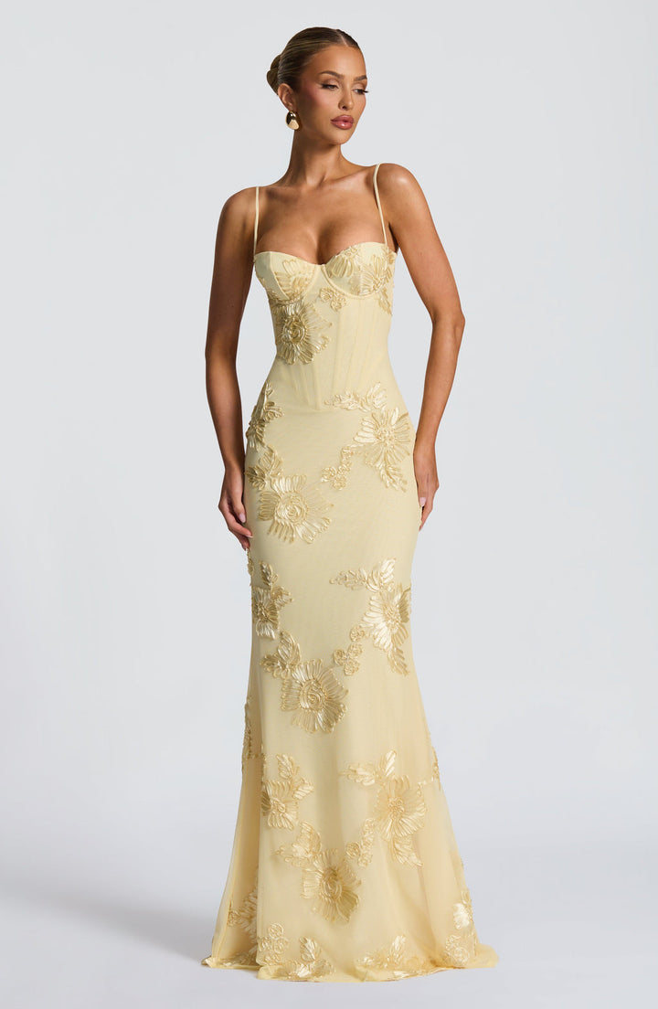 Floral Jacquard Corset Bodice Maxi Dress